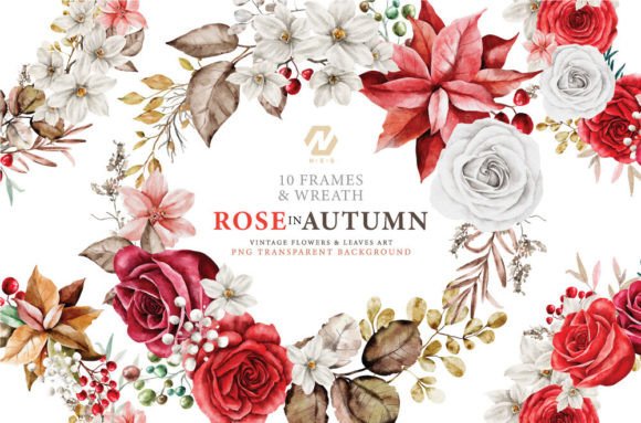 Autumn Rose Frames: A Designer’s Stitch Test