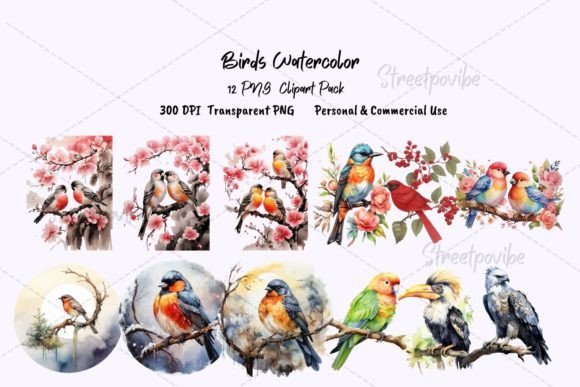 Bird Watercolor Clipart PNG Pack: Illustrations Review