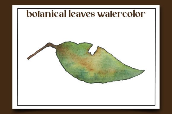 Botanical Leaves Watercolor-12 Illustrations Review