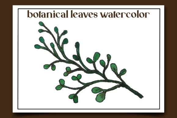 Botanical Leaves Watercolor-13: Illustrations for Local Brands
