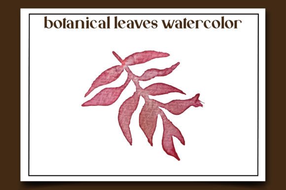 Botanical Leaves Watercolor-20: Editorial Illustrations Review