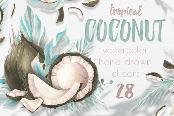 Coconuts, Tropical Leaves Watercolor Illustrations Review