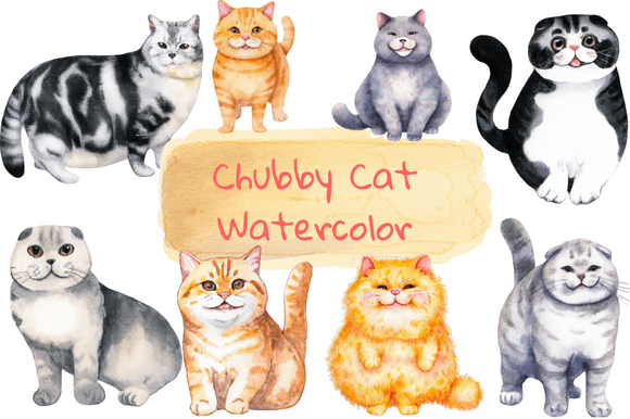 Cute Chubby Fat Cat Watercolor Clipart Illustrations