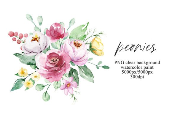 Pink Watercolor Peonies Illustrations for Crafters