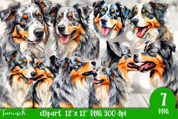 Watercolor Australian Shepherd Clipart Illustrations