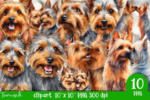 Watercolor Australian Terrier Clipart Illustrations