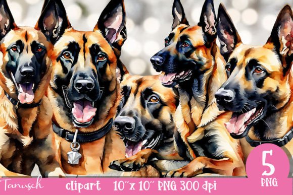 Watercolor Belgian Malinois Illustrations for Design