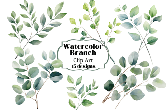 Watercolor Branches Eucalyptus Clipart: Editorial Illustrations