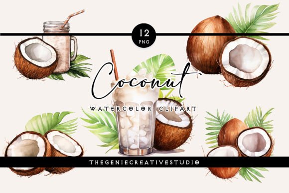 Watercolor Coconut PNG Clipart in Illustrations